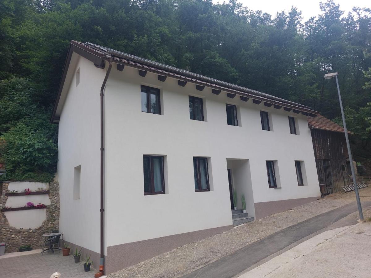 Gaestehaus Coco Apartment Krems an der Donau